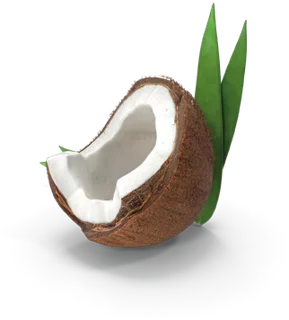 Aceite MCT de coco